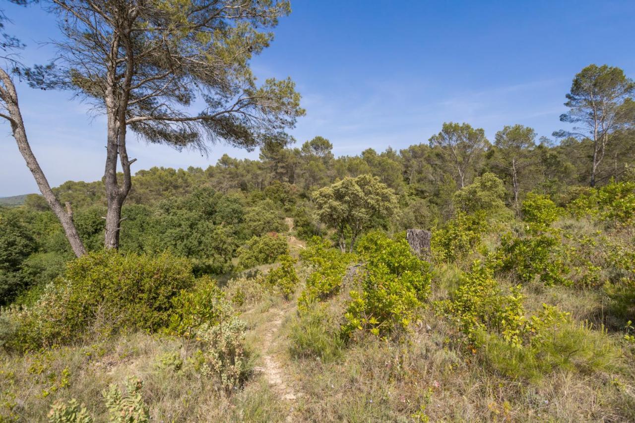 Petit Paradis Garrigue Villa Moulézan Kültér fotó